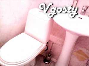 Good 1Kvartiru rent in the center - Apartments for daily rent from owners - Vgosty
