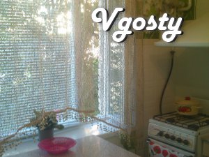 Two-room apartment for rent - Apartments for daily rent from owners - Vgosty
