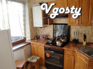 Dvohurovnevaya apartment in the center! - Apartments for daily rent from owners - Vgosty