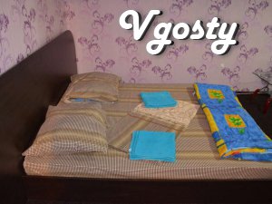 Cozy 1k. apartment - Apartments for daily rent from owners - Vgosty