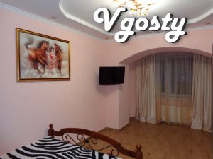 Rent one-bedroom apartment, Wi-Fi, New building st. Zabolotny - Apartments for daily rent from owners - Vgosty