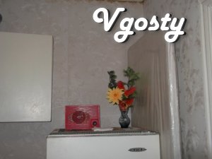 Modern 1-bedroom near the resort "Myrgorod" - Apartments for daily rent from owners - Vgosty