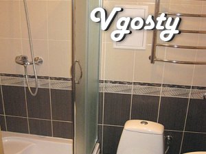 Apartment near Truskavtsі - Apartments for daily rent from owners - Vgosty