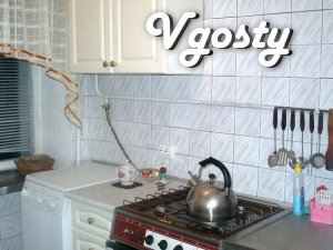 Apartment 2 room center, ind. heating, internet, wi-fi - Apartments for daily rent from owners - Vgosty