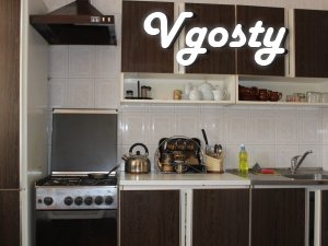 Comfortable apartment in the city center - Apartments for daily rent from owners - Vgosty