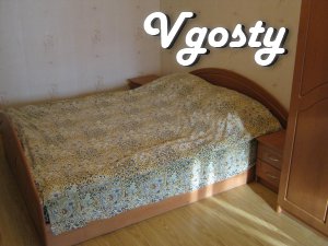 3 BR. evrokvartira in the center of Chernivtsi. Wi-fi, air conditionin - Apartments for daily rent from owners - Vgosty