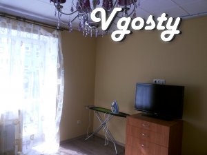 Apartment with all the terms. - Apartments for daily rent from owners - Vgosty