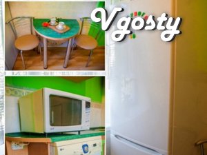 Comfortable apartment in the park. Wi-Fi. - Apartments for daily rent from owners - Vgosty