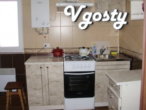 Decent option - Cozy and comfortable apartment! - Apartments for daily rent from owners - Vgosty
