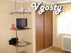 Decent option - Cozy and comfortable apartment! - Apartments for daily rent from owners - Vgosty