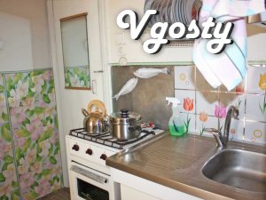 The apartment is near the center and the station - Apartments for daily rent from owners - Vgosty