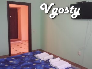 VIP apartment in the center near the pump room - Apartments for daily rent from owners - Vgosty