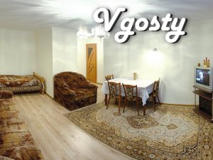 Cozy apartment near San. "Dnieper" - Apartments for daily rent from owners - Vgosty