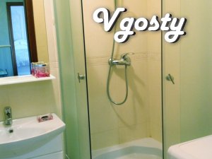 One bedroom apartment in Truskavets - Apartments for daily rent from owners - Vgosty
