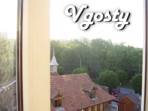 its cozy 1-bedroom apartment - Apartments for daily rent from owners - Vgosty