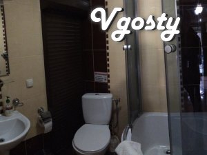 4 Yavirnyk house with sauna and fireplace - Apartments for daily rent from owners - Vgosty