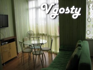 2 room apartment for rent, Children region. Hospital, WiFi - Apartments for daily rent from owners - Vgosty