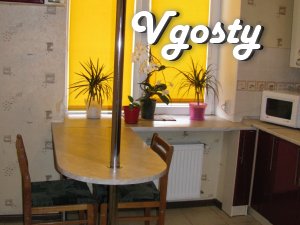 One bedroom kv.bilya bus station - Apartments for daily rent from owners - Vgosty