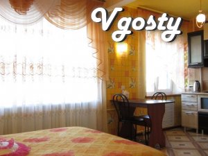 Rent 1-room apartment-studio with an interesting renovation. - Apartments for daily rent from owners - Vgosty