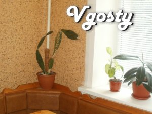 1 bedroom apartment for rent in the Center - Apartments for daily rent from owners - Vgosty
