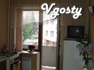 Podobova orenda apartment's - Apartments for daily rent from owners - Vgosty