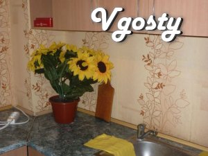 Cozy apartment for rent! - Apartments for daily rent from owners - Vgosty