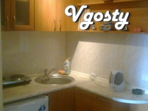 One bedroom apartment near the sea. - Apartments for daily rent from owners - Vgosty