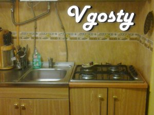 One bedroom apartment in the city center. - Apartments for daily rent from owners - Vgosty
