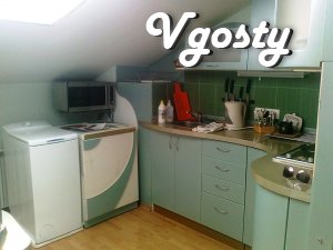 One-bedroom apartment. City center. - Apartments for daily rent from owners - Vgosty