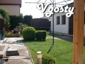 Samыy kyrpychnыy Warm Home in Lviv - Apartments for daily rent from owners - Vgosty