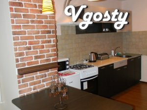 Luxury apartment with a fireplace on the tail. There is WI-FI. - Apartments for daily rent from owners - Vgosty