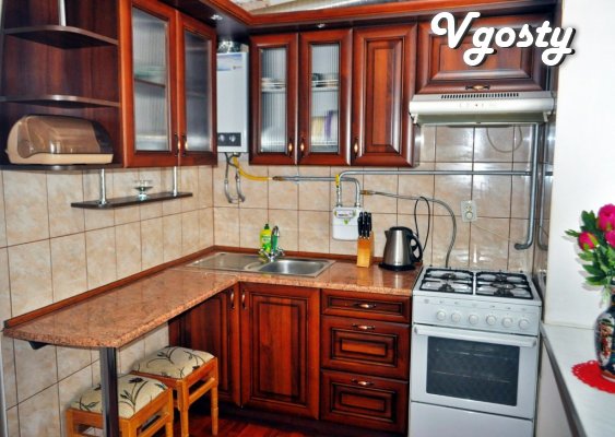 3-room apartment in the center - Apartments for daily rent from owners - Vgosty