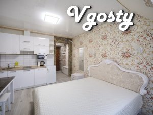 Студия в Старом городе Посуточно - Appartements à louer par le propriétaire - Vgosty