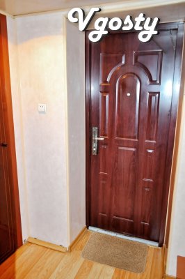 Center, 1 room apartment - Apartments for daily rent from owners - Vgosty