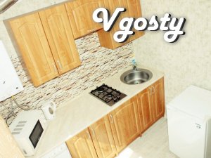 Excellent 1-to apartment in the center of the city, has everything you - Apartments for daily rent from owners - Vgosty