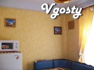 Center Hortitsky mkrn.ul Novgorod 20.dokumenty third group - Apartments for daily rent from owners - Vgosty
