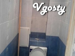 Rent daily, hourly, for a week to 2. Apartment in the center - Apartments for daily rent from owners - Vgosty