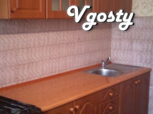 Center. Wi-Fi. clean and comfortable - Apartments for daily rent from owners - Vgosty