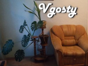 CENTER, VIP, 1 ROOM, WI-FI. - Apartments for daily rent from owners - Vgosty