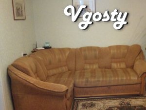 CENTER, VIP, 1 ROOM, WI-FI. - Apartments for daily rent from owners - Vgosty