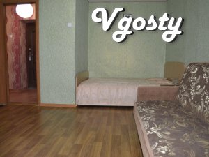 Cozy apartment, Epicenter district - Apartments for daily rent from owners - Vgosty