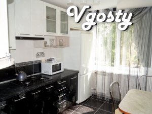 VIP !!! Квартира 2 кімн. подобово, пральна машинка, Wi-Fi - Квартири подобово без посередників - Vgosty
