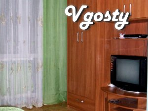 Cozy 1 komn.kv.v center, everything you need for a comfortable stay - Apartments for daily rent from owners - Vgosty