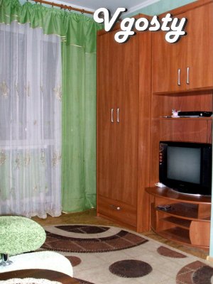 Cozy 1 komn.kv.v center, everything you need for a comfortable stay - Apartments for daily rent from owners - Vgosty