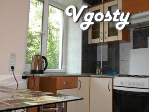Wi-Fi, Lenina (ost.Gagarina) - Apartments for daily rent from owners - Vgosty