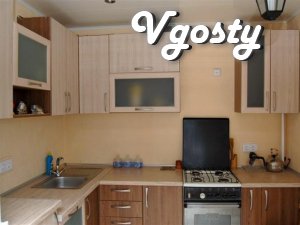 Daily and hourly, 1-room apartment, per.Shevchenka 11a - Apartments for daily rent from owners - Vgosty