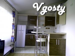 Comfortable new apartment in the center. All conditions - Apartments for daily rent from owners - Vgosty