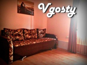 NEW APARTMENT IN THE CENTER WITH ALL CONDITIONS - Apartments for daily rent from owners - Vgosty