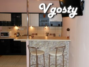 NEW APARTMENT IN THE CENTER WITH ALL CONDITIONS - Apartments for daily rent from owners - Vgosty