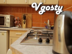 The historic center of the city - Apartments for daily rent from owners - Vgosty